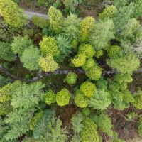 Wagner Creek Road images 3