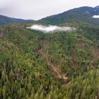 Wagner Creek Road images 4