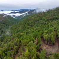 Wagner Creek Road images 5