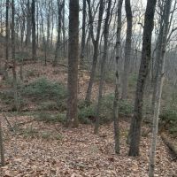 11 Acres is a Loudoun County