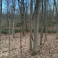 Img 7075
