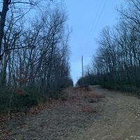 Img 7082