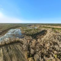 Beaufort County NC Ultimate Hunting Estate Ducks Bucks