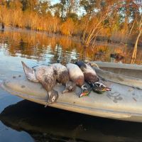 Beaufort County NC Ultimate Hunting Estate Ducks Bucks images 5