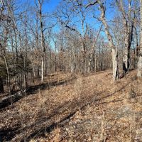 Lake of the Ozarks Acreage