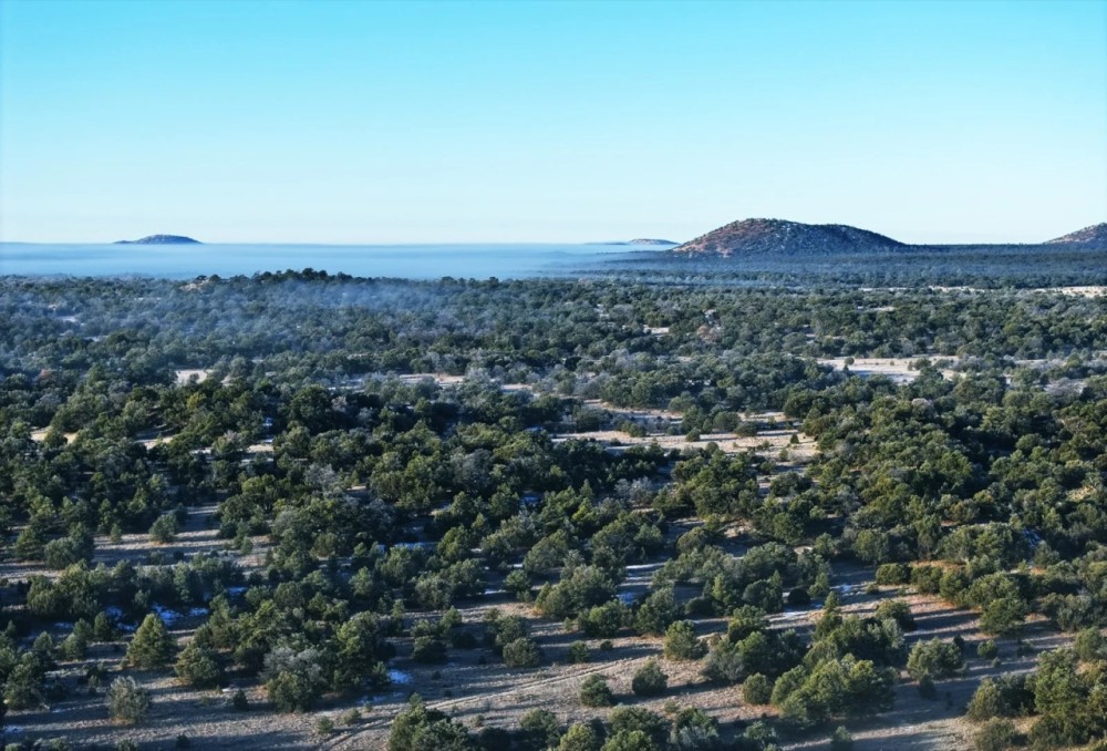 Mule Shoe Ranch featured image