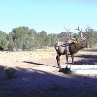 Mule Shoe Ranch images 3