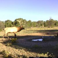 Mule Shoe Ranch images 4