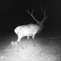 Mule Shoe Ranch images 5