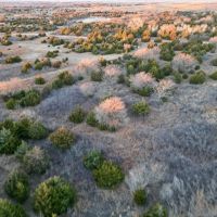 Pechin Ranch images 2