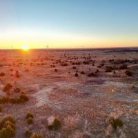 Pechin Ranch images 4
