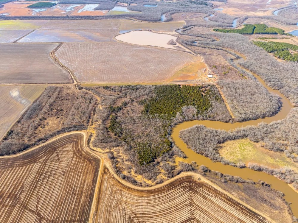 100 - Acres Waterfowl Hunting along with Whitetail Turkey Hunting Conway Arkansas featured image