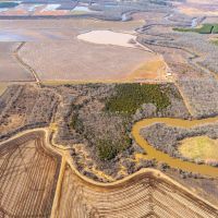 100 - Acres Waterfowl Hunting along with Whitetail Turkey Hunting Conway Arkansas