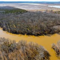 100 - Acres Waterfowl Hunting along with Whitetail Turkey Hunting Conway Arkansas images 3