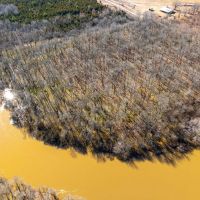 100 - Acres Waterfowl Hunting along with Whitetail Turkey Hunting Conway Arkansas images 4