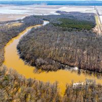 100 - Acres Waterfowl Hunting along with Whitetail Turkey Hunting Conway Arkansas images 5