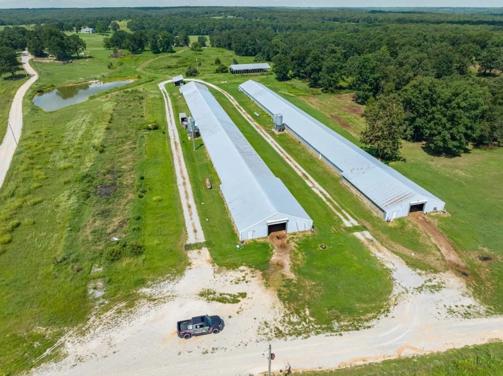 2 OLD Poultry Houses 20 - Acres Strawberry Arkansas featured image