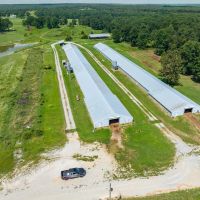2 OLD Poultry Houses 20 - Acres Strawberry Arkansas