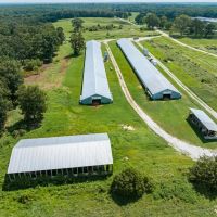 2 OLD Poultry Houses 20 - Acres Strawberry Arkansas images 2