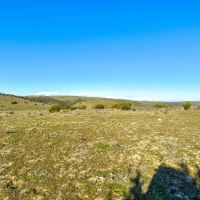 Freestar Properties images 3