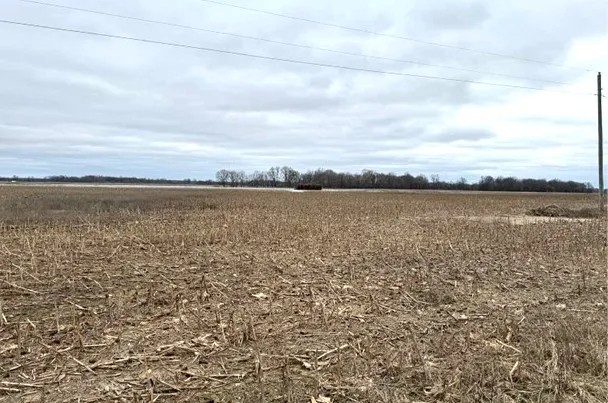 144 Acres in Quitman County in Lambert MS featured image