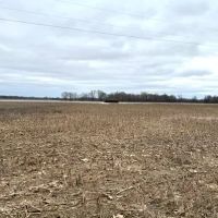 144 Acres in Quitman County in Lambert MS