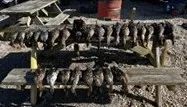 144 Acres in Quitman County in Lambert MS images 2