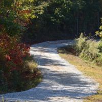 Tract 2 - 34.12 Acre Lot On Ambler School Road images 3