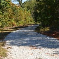 Tract 2 - 34.12 Acre Lot On Ambler School Road images 4