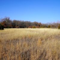 Recreational Hunting Land in Lincoln County OK for Sale