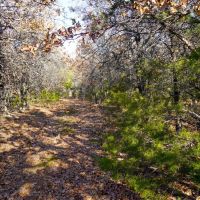 Recreational Hunting Land in Lincoln County OK for Sale images 3
