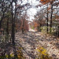 Recreational Hunting Land in Lincoln County OK for Sale images 4