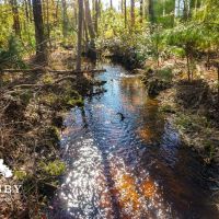 Fralix images 3