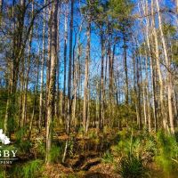 Fralix images 5