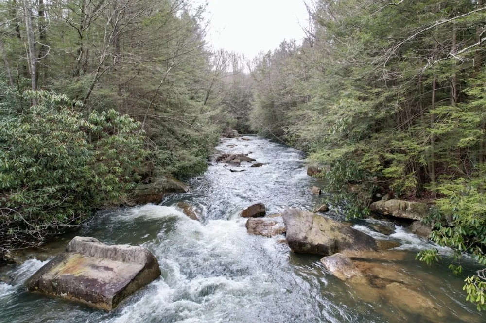 Canaan Church Rd. Fayette County - 50 acres featured image