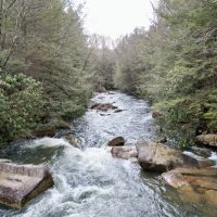 Canaan Church Rd. Fayette County - 50 acres