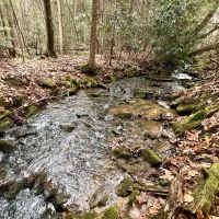 Canaan Church Rd. Fayette County - 50 acres images 4