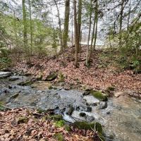 Canaan Church Rd. Fayette County - 50 acres images 5