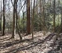 Five 15 Acre Lots in Copiah County in Wesson MS images 2