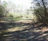 Five 15 Acre Lots in Copiah County in Wesson MS images 4