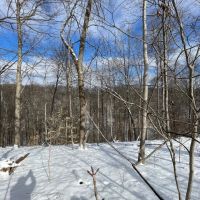 21 Acres - For Sale in Monroe County IN images 5