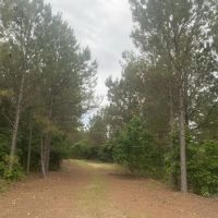 Wayne Co. TN Recreational and Timber Tract