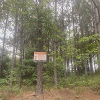 Wayne Co. TN Recreational and Timber Tract images 2