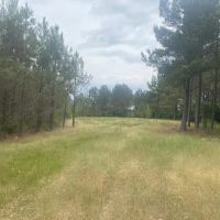 Wayne Co. TN Recreational and Timber Tract images 4