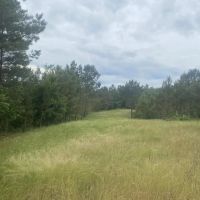 Wayne Co. TN Recreational and Timber Tract images 5
