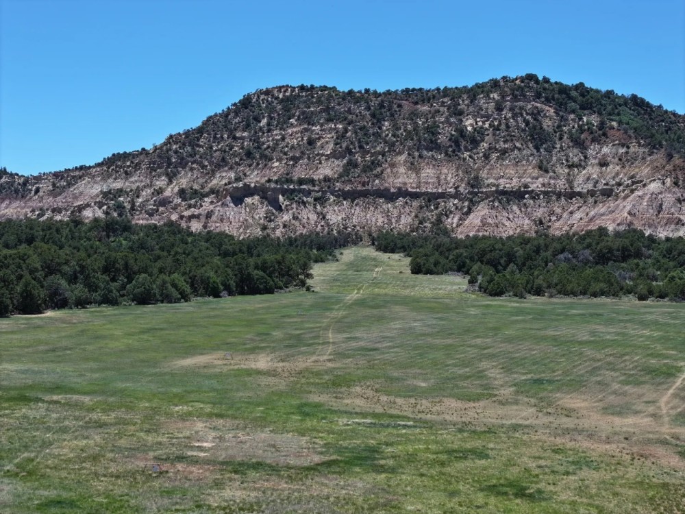 County Line Ranch featured image
