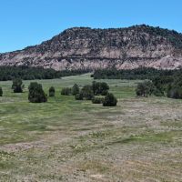 County Line Ranch images 5