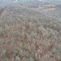 Land For Sale in Dubois County IN 79 Acres - images 2