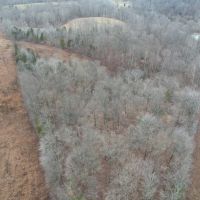 Land For Sale in Dubois County IN 79 Acres - images 5