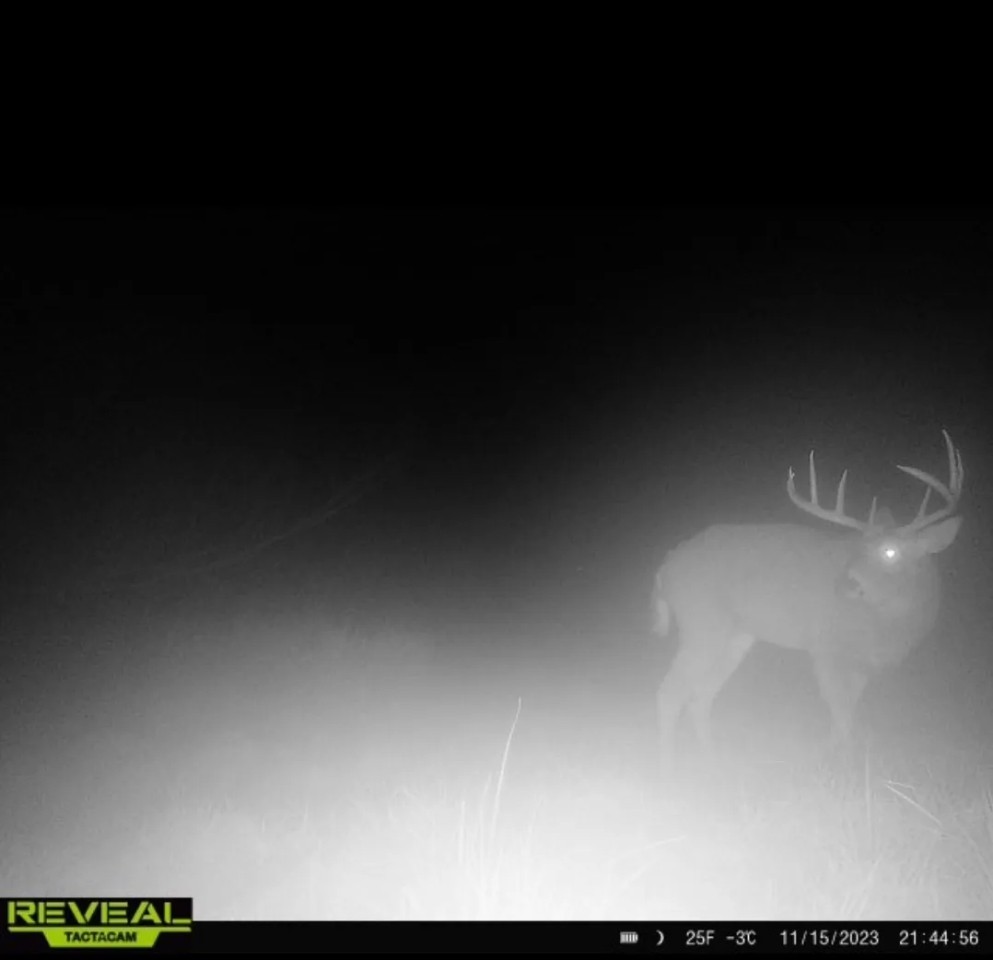 Unique Hunting Land for sale in Richland County WI featured image